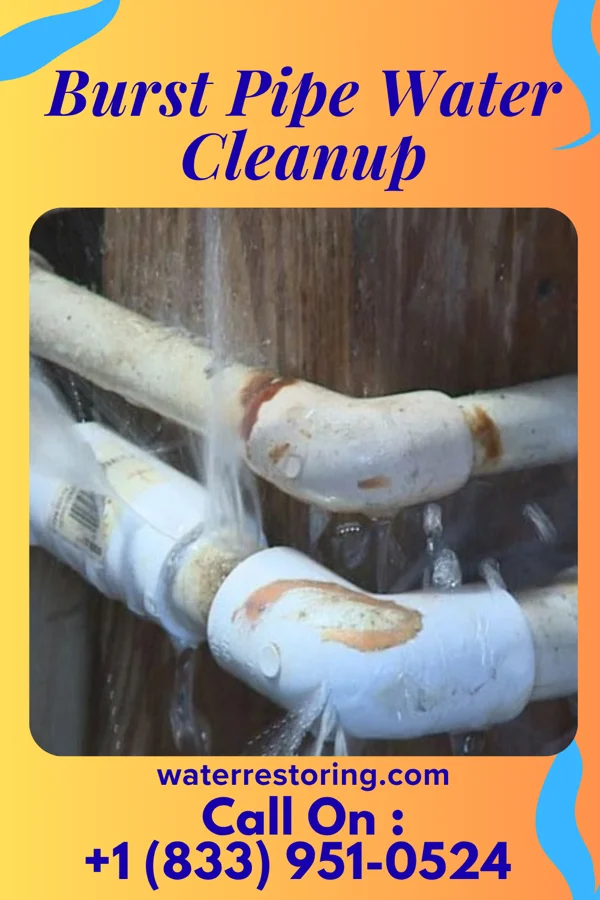 Burst Pipe Water Cleanup in Marietta, IL