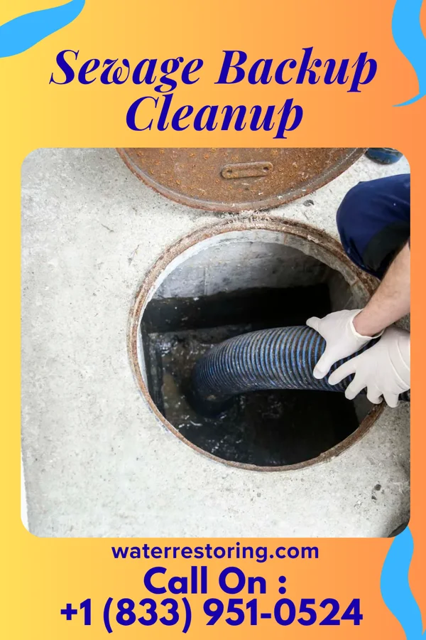 Sewage Backup Cleanup in Marietta, IL