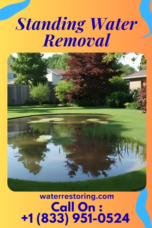Standing Water Removal in Marietta, IL